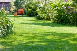 travaux jardin et paysage Ruffec